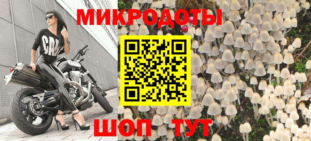 Псилоцибиновые грибы прущие грибы  Вход с VPN  Саранск  Псилоцибиновые грибы Psilocybe 